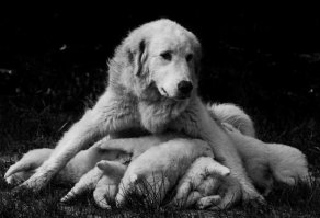 Эта фотка классная! Такая усталая мама...