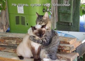 Любовь, душа и тепло в сердце!