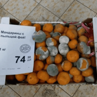 А у вас бы хватило воображения на это?