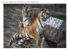 Ошалел на этом моменте. =)  С наступающим всех.