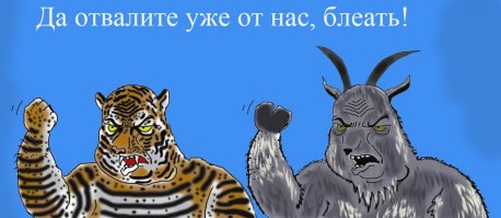 Merry Christmas, мистер Тигр! Как жители зоопарков открывали подарки