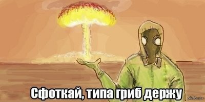 Грибы, грибки, грибочки