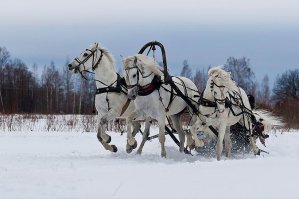 Центровой(центровая), по ходу, мужик с имплантами на жопе, ну, или баба страшная, но все равно с имплантами. А вот справа - деваха хоть и страшная, зато все натуральное. 
А вообще, и тех, что справа, всех троих, и тех, что слева, да в русскую тройку! Эге-гей, пашла, милайя!!!