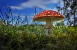 Правильный свет... и иногда, правильная подсветка.