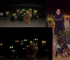 Не такая большая и редкость!