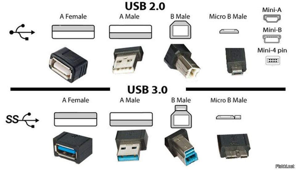 Разъем usb бывает. Отличие разъемов USB 2/0 И USB 3.1. Кабель USB 3.0 Type-a, Micro-USB 2.0 Type-b. USB 3.0 И USB 2.0 отличие разъемов. Типы разъемов USB 3.0.