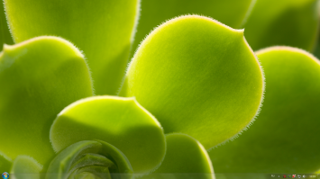 У меня все просто.