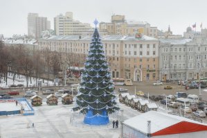 Воронеж. Одна из самых дорогих ёлок в России в 2016г.