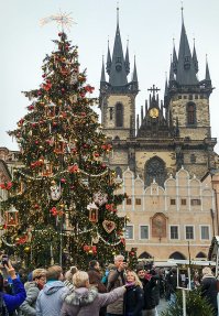 Вот красивая настоящая елка! Это в Праге.