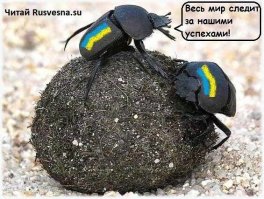 Фотожабы и карикатуры на порошенко