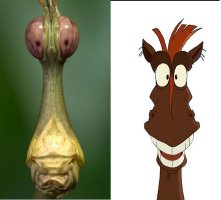 Природные фантомы - привиденьевые