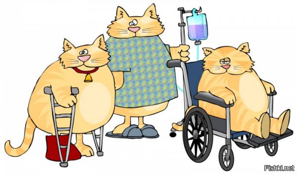 Котику ножку отстригли?