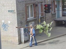 Они уже здесь! [мочить их нужно пока они маленькие]