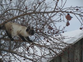 точняк не фотошоп