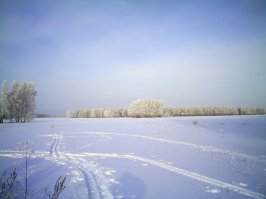 а ты любишь зиму?