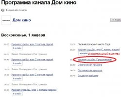 Шел очередной день новогодних праздников