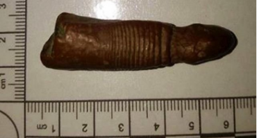 Часто смотрю канал Хистори , по моему там ведутся неусыпные раскопки по всей Англии ))
Вот недавняя находка 

В Англии найден пенис мамонта
В графстве Норфолк, Англия был обнаружен окаменелый пенис мамонта. Предварительный осмотр позволяет сделать вывод, что находка находится в разряде доисторических.
О неожиданной находке было сообщено изданием The Sun. Найденная окаменелость получила классификацию "пенисообразный объект". Размер окаменевшего органа мамонта - 5 сантиметров, диаметр 2 сантиметра. Учёные планируют провести более точную идентификацию найденных останков, но некоторые палеонтологи всё-таки считают что был найден пенис мамонта. Предварительный осмотр показал, что находка является доисторической.

Примечательно что не все эксперты согласны с мнением, что найденная окаменелость является пенисом. Существует мнение, что находка не имеет никакого отношения к вымершим животным, а является кремнем пенисообразной формы. Научный мир пока не провёл исследование находки, официальное заявление будет сделано после того, как специалисты полностью исследуют объект.