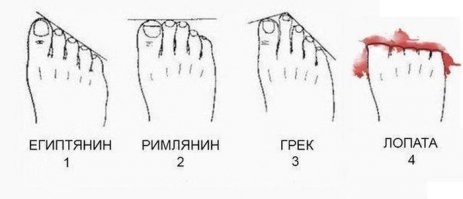 Немного веселых фото