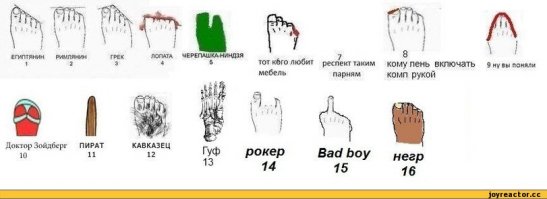 Немного веселых фото