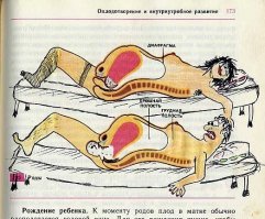 45 минут