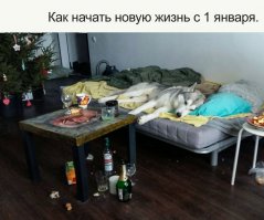 Сын с друзьями дома встречал НГ)
Комната один в один - стены, пол, диван, паслельное , даже собака!
Если бы не елка...