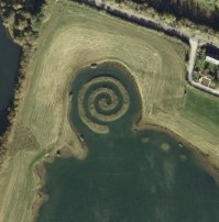 А это что за улитка?
51.702380, -1.743986