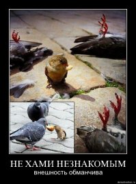 О борьбе с хамством и жадностью