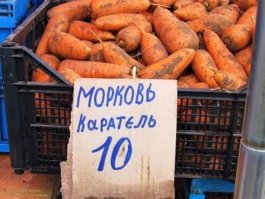 Немного веселых фото