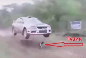 Вот самое невероятное везение!