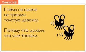 Пчёлы. Интересные факты