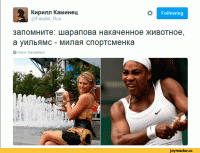 19 фотографий олицетворяющих победу