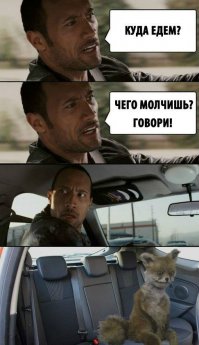 Каков привет, таков и ответ