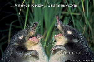 1. Ахухоль - авантюрно настроенная выхухоль.
2. Бздюхухоль - трусливая выхухоль, склонная к "медвежьей болезни".
3. Бляхухоль - выхухоль с беспорядочными половыми связями.
4. Бухухоль - выхухоль, склонная к злоупотреблению алкоголем.
5. Вздохухоль - депрессивная выхухоль.
6. Впопухоль - выхухоль нестандартной сексуальной ориентации.
7. Вхухоль - сексуально невоздержанный самец выхухоли.
8. Выхухоль - исходная автохтонная выхухоль, пользующаяся уважением.
9. Дохухоль - богатая, самодостаточная выхухоль.
10. Дыхухоль - выхухоль, страдающая одышкой.
11. Е-хухоль - интернетовская выхухоль.
12. Захухоль - ленивая выхухоль.
13. Кхухоль - выхухоль, поклоняющаяся Ктулху. Имеет щупальца вместо хоботка.
14. Лихухоль - лихая, отвязная выхухоль.
15. Лохухоль - излишне доверчивая выхухоль.
16. Ляхухоль - польская выхухоль.
17. Мохухоль - а) порода выхухоли, питающаяся мхом. московская выхухоль. c) выхухоль-токсикоманка.
18. Hахухоль - агрессивная выхухоль.
19. Hедохухоль - малорослая, карликовая выхухоль.
20. Hехухоль - выхухоль, наделенная запретительными полномочиями.
21. Hихухоль - незаметная, никакая выхухоль. Почти что и не выхухоль.
22. Hифигахухоль - нищая выхухоль.
23. Hухухоль - нетерпеливая выхухоль.
24. Hюхухоль - выхухоль-ищейка.
25. Опухоль - жирная выхухоль.
26. Охухоль - бестолковая выхухоль без царя в голове.
27. Перехухоль - выхухоль гигантских размеров.
28. Плохухоль - плохая, негодная выхухоль.
29. Похухоль - индифферентная выхухоль.
30. Прахухоль - первобытная выхухоль.
31. Пыхухоль - выхухоль, обитающая в коноплёвых лесах.
32. Рохухоль - выхухоль-рохля. Производное от лохухоли, охухоли и похухоли.
33. Сдохухоль - мертвая выхухоль.
34. Трахофобухоль - выхухоль, исповедующая антисекс.
35. Трахухоль - выхухоль, кидающася на все, что движется, с явными сексуальными намерениями.
36. Тухухоль - неприятно пахнущая выхухоль.
37. Тыхухоль - фамильярно настроенная выхухоль.
38. Ухухоль - выхухоль, родившаяся от брака нахухоля и похухоли.
39. Хохухоль - украинская выхухоль.
40. Хрюхухоль - неаккуратная, грязная выхухоль.
41. Хухоль - выхухоль без префикса.
42. Цойхухоль - поющая выхухоль-оленевод с выдвинутой нижней челюстью.
43. Чмохухоль - всеми отверженная выхухоль.
44. Эхухоль - выхухоль, живущая в горах и притворяющаяся эхом.
45. Юхухоль - ТВОЯ выхухоль.
46. Яхухоль - хвастливая, нескромная выхухоль