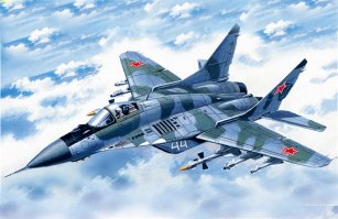 НЕТ в природе....НЕ СУЩЕСТВУЕТ!!  - российского  МИГ-29. Просто по тому что МИГ-29  СОВЕТСКИЙ. И то что поляки на них до сих пор летают ...так это по тому что ...раньше мы были друзьями, а не врагами как сейчас! Я уж не говорю про Украину!