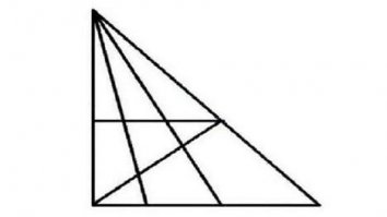 Некоторые здесь видят 8,16,18,24! И даже 28 треугольников !
А сколько видешь ты ?