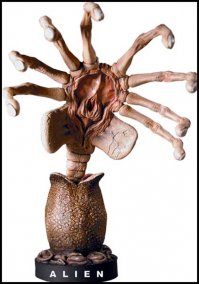 Ага, знаем мы, почему оно воняет и что оттуда вылазит