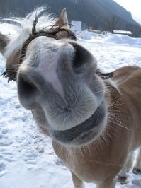 Какого дьявола,в клубешниках есть "фейсконтроль",а при приеме на госслужбу данная опция отсутствует?!!