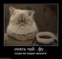 Булгаковский Д. Г. - Пьянство и его последствия. Иллюстрированный альбом