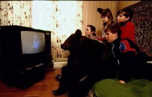 С начало долго не понять,что тут не так.Потом дошло: у девушки чудная прическа а-ля единорог.