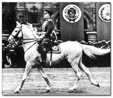 Неизвестное об ахалтекинских лошадях