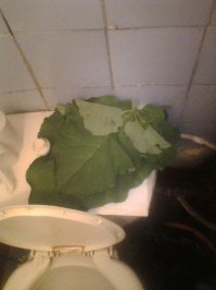 Позитивчик