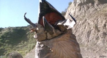 Африканская гиднора – одно из самых странных на вид растений