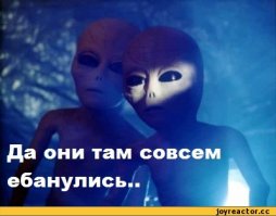 40 чудиков делают покупки: идиотский стиль в пределах супермаркета