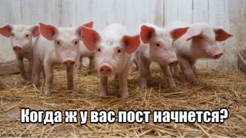 12 блюд традиционного русского стола на Рождество