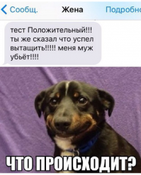 Смешные комментарии из социальных сетей!