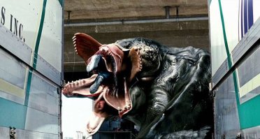 Африканская гиднора – одно из самых странных на вид растений