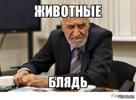 Насколько мне известно тёрки у него случились с такими же бабуинами как и он сам. После чего другие бабуины искали его 10 дней с огромным желанием завалить, даже б.л.я.д.ь его подкупили ( она с.ъ.е.б.а.л.а незадолго до того как его земляки завалили к нему на хату), теперь мусора исЧут, но думаю зря, ибо все эти порнокопытные уже давно разъехались по своим горам.Жаль не получилось кучи чернозадых трупов. Земля ,за один раз могла бы капитально очистится от вмякой швали