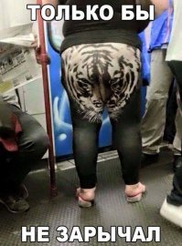 Прикольные картинки из сети