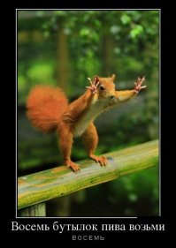 Белки. Подборка фотографий