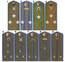 1 артиллерия
2 пехота
3-4 НКВД (у них окантовка васильковая)